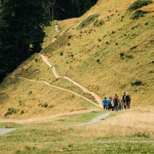 Wanderung Wispile 3