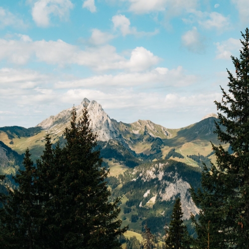 Berglandschaft Gstaad